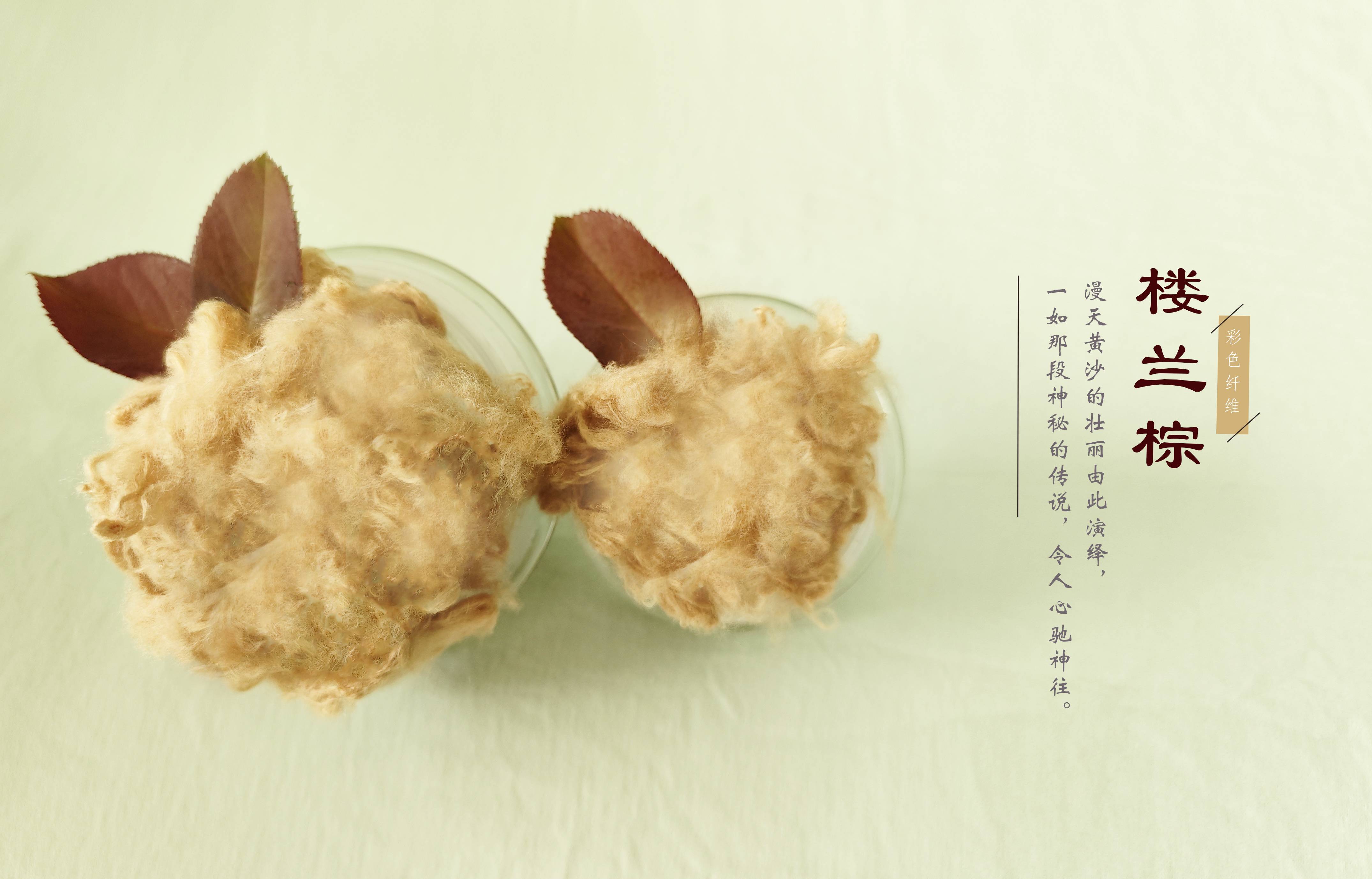 pg电子游戏试玩(中国)官方网站