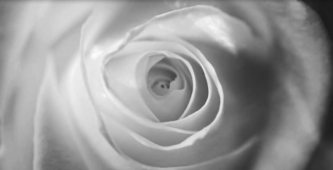 pg电子游戏试玩(中国)官方网站